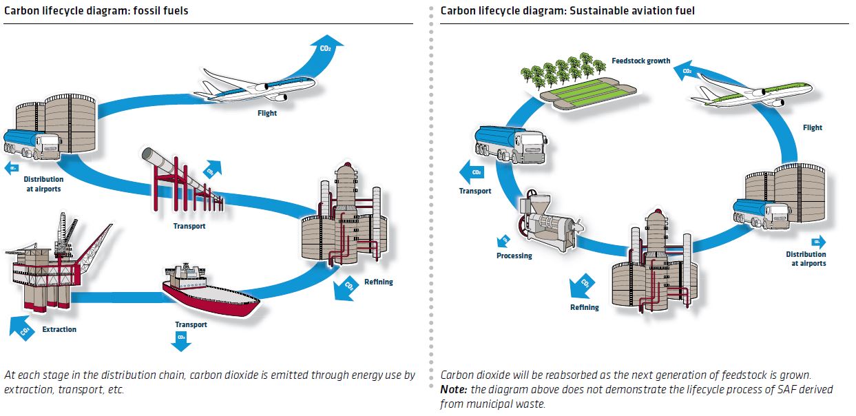 Carbon LIFECYCLE Diagram SAF bueno - An Introduction to Sustainable Aviation Fuels – What are SAF?