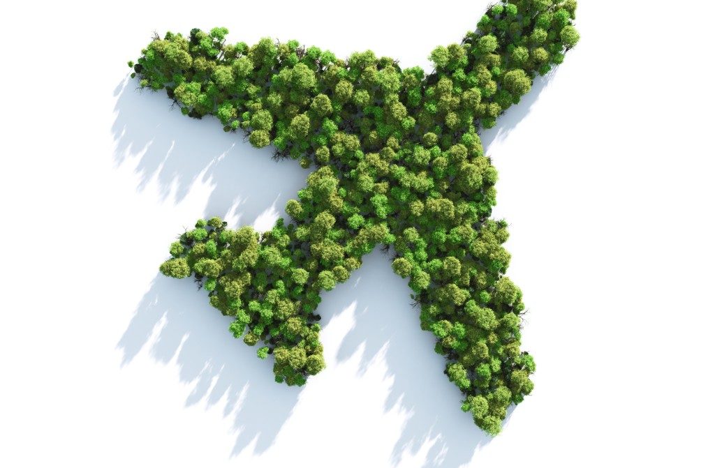 Airlines have reduced their CO2 emissions by 50% in the last 30 years green plane 1024x1024 1024x671 - Airlines have reduced their CO2 emissions by 50% in the last 30 years