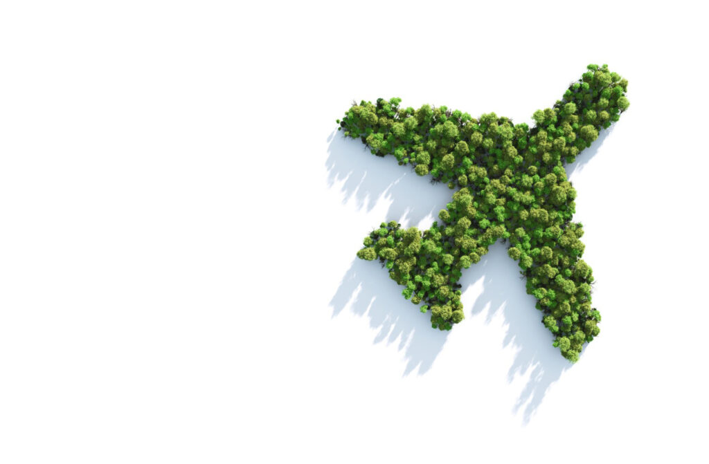 green plane 1024x671 - ITAérea joins the celebration of World Environment Day