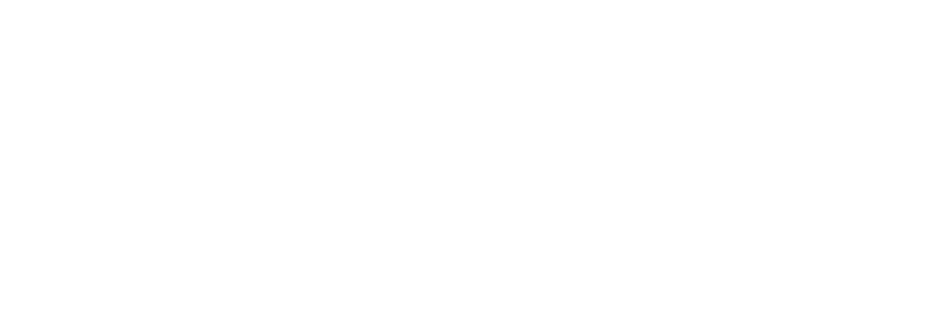 logo maam - Training Air Navigation